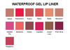 Waterproof Gel Lip liner Color Chart