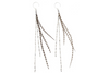 Glistening Feather Earrings - Silver/Stripe