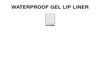 Waterproof Gel Lip Liner Color Chart