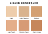Liquid Concealer Color Chart
